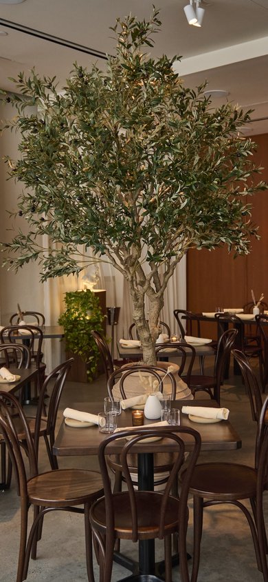 Nerina Indoor Dining