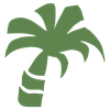 Palm Tree Illustration